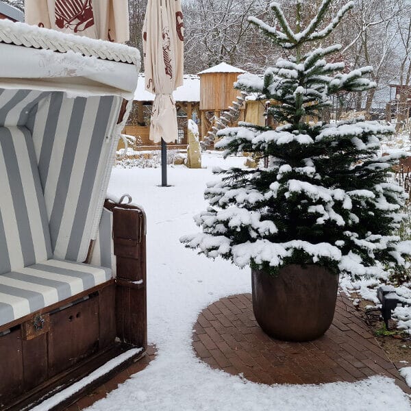 Schneebedeckter Garten mit einem Topfbaum und einer gestreiften Liege. Im Hintergrund sind Holzstrukturen sichtbar.