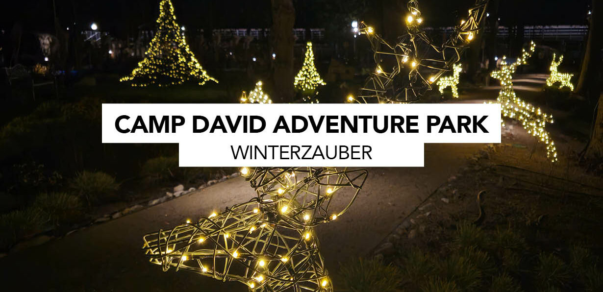 Beleuchtete Weihnachtsdekorationen in Form von Tannenbäumen und einem Rentier im CAMP DAVID ADVENTURE PARK.