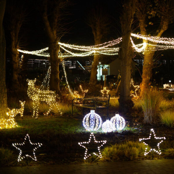 Beleuchteter Park mit Weihnachtsdekoration: leuchtende Sterne, Kugeln und ein Rentier zwischen Bäumen.