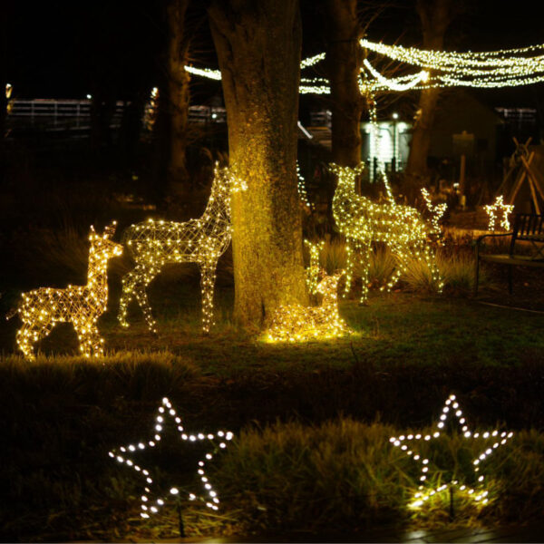 Beleuchtete Weihnachtsdeko mit leuchtenden Rehen und Sternen in einem Park bei Nacht.