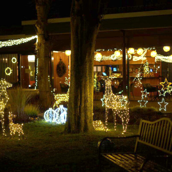 Beleuchtete Weihnachtsdekorationen mit Rehen und Sternen in einem parkähnlichen Ambiente.